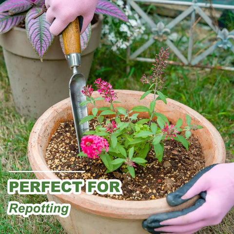 Pro Grade Seeding Widger With 6 Inch Scale, Stainless Steel Planting Trowel For Transplanting in potted plant