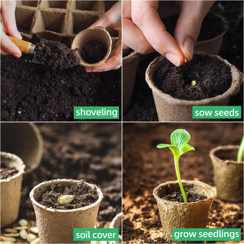 50 Pack Three Point One Five Inch Peat Pots For Seedlings With 50 Plant Labels Biodegradable Nursery Pots For Outdoor Garden Germination And Easy Seed Starter Kit