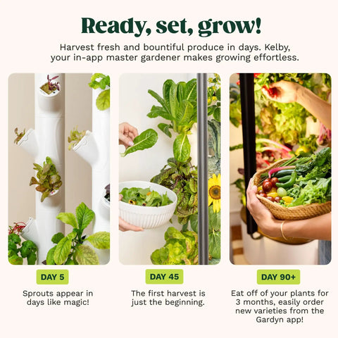 Vertical Hydroponics Garden System For Indoor Growing With Grow Lights Compact Smart Tower showing plant growth stages