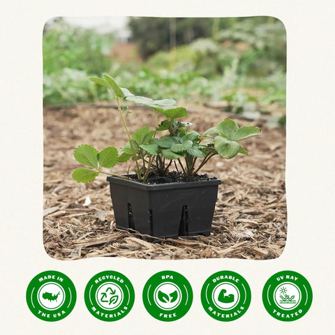 Reusable Seed Starter Tray 4 Cell Seed Starting Trays For Seedlings with green plants on earth background
