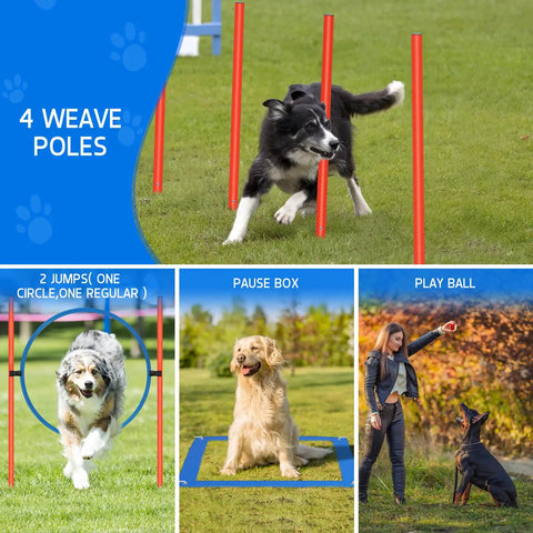 Dog weaving through All In One Backyard Dog Agility Course For Active Pups With Adjustable High Jump Weave Poles Tunnel Jumping Ring Pause Box Balls Whistle And Carrying Bag Durable ABS Build