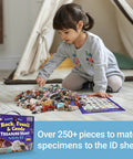 Rock Mineral And Geodes Treasure Hunt Kit With 250 Pieces Real Shark Teeth Fossils ID Sheet And Rock Book STEM Educational Toy For Kids Teens Hands On Science Activity, child matching stones