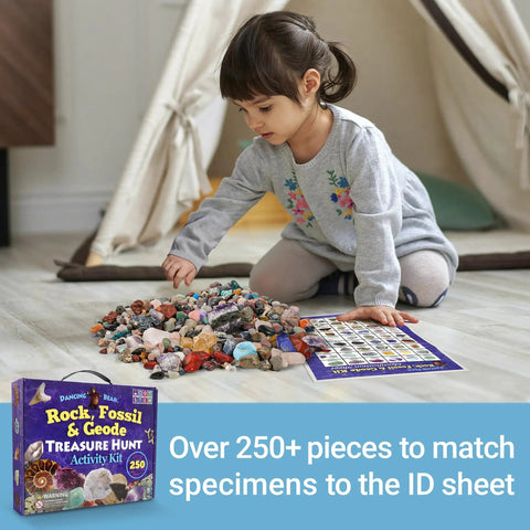 Rock Mineral And Geodes Treasure Hunt Kit With 250 Pieces Real Shark Teeth Fossils ID Sheet And Rock Book STEM Educational Toy For Kids Teens Hands On Science Activity, child matching stones