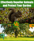 Solar Powered Ultrasonic Animal Deterrent With Motion Sensor Flash Light For Yard Garden Lawn Humane Deer Squirrel Cat Raccoon Rabbit Dog Repeller Outdoor Pest Control Device To Keep Critters Away in garden before-after view