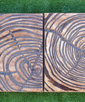 DIY Concrete Molds Set, 5 Pcs ABS Plastic Stone Paver Molds, showing two textured molds on grass surface