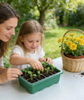 Mother and daughter planting seedlings in Seed Starter Kit 10 Pack With Humidity Dome And 120 Cell Propagation Trays Base All In One Mini Greenhouse