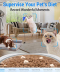 Game Changing Automatic Cat Feeder With 1080P Camera And Night Vision 5G Wifi Smart Dog Food Dispenser 7L with pets and food.