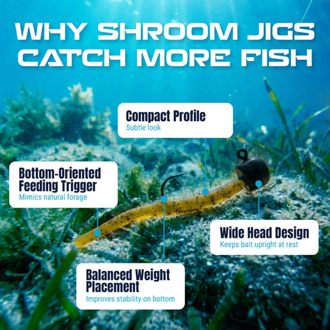 Underwater view of Mushroom Jig Head One Eighth Ounce Black Pack Of 25 Deep Stand Up Action in aquatic environment