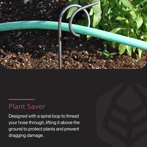 Plant Saving Hose Guide and 17.5 Inch Garden Stake Heavy Duty Water Pipe Guide in use elevating hose in garden