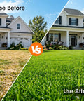 Comparison of a lawn before and after using Manual Lawn Aerator With 16 Sharp Spikes In 4x4 Layout Self Cleaning Core