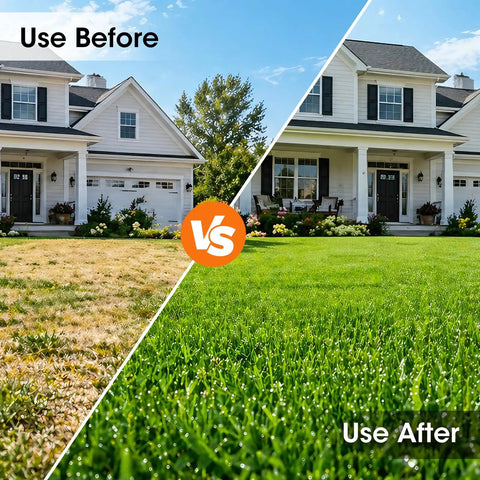 Comparison of a lawn before and after using Manual Lawn Aerator With 16 Sharp Spikes In 4x4 Layout Self Cleaning Core