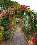 Metal Core Garden Arch Trellis For Climbing Plants Outdoor 87 Inch Tall 71 Inch Long 75 Inch Wide Archway with blooming flowers