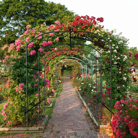 Metal Core Garden Arch Trellis For Climbing Plants Outdoor 87 Inch Tall 71 Inch Long 75 Inch Wide Archway with blooming flowers