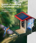 Solar Powered Bird Feeder With Camera And 2K HD Video For Real Time Bird Watching, AI Species Identification, installed on wall