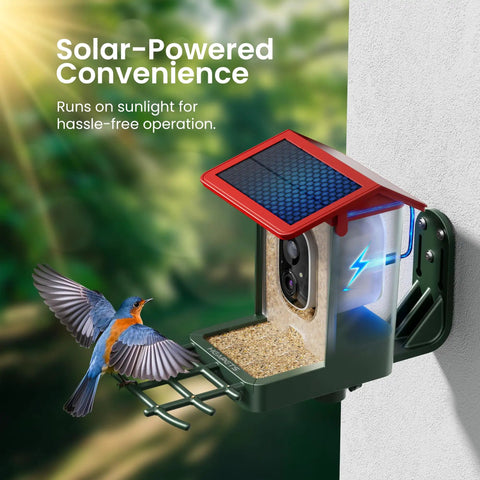 Solar Powered Bird Feeder With Camera And 2K HD Video For Real Time Bird Watching, AI Species Identification, installed on wall