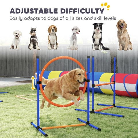 Golden retriever using All In One Dog Agility Training Set 12 Piece Obstacle Course With Adjustable Hurdle And Ring Four Tunnels Weave