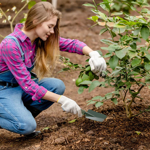 Gardener using 12 Piece Garden Shovel And Trowel Set With Metal Blades And Plastic Handles to dig near a plant.