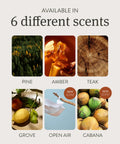 Drift Car Air Freshener starter kit with six scents: pine, amber, teak, grove, open air, cabana.