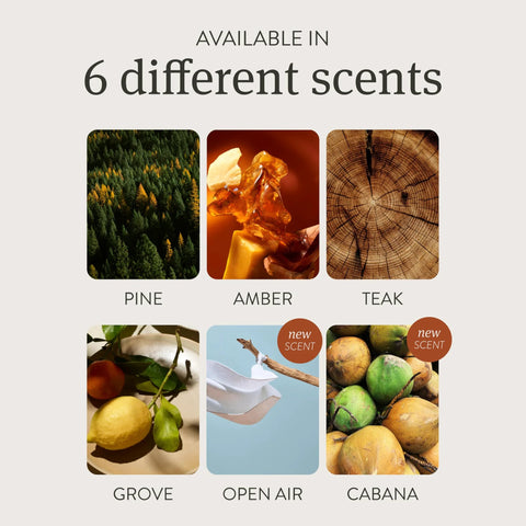 Car air freshener six-scent starter kit with Pine, Amber, Teak, Grove, Open Air, Cabana scents.