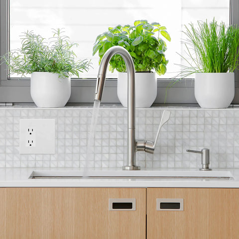 Kitchen with 2-Gang Decorator And Blank Wall Plate White With Screws next to sink, featuring plants on countertop.
