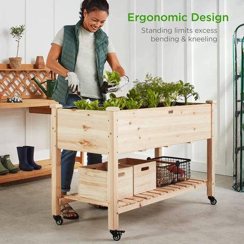 Mobile Raised Garden Bed On Wheels With Locking Casters 48 By 24 By 32 Inch Elevated Planter With Storage Shelf Natural Wood