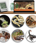 Digital Refrigerator Freezer Thermometer With Extra Sensor For Indoor Outdoor Use Humidity Hygrometer And Max Min Memory Reptile And Aquarium Temp Monitor Fridge Freezer Thermometer 1.5m Probe 24 Hour Recall Black with reptile tank and animal use examples