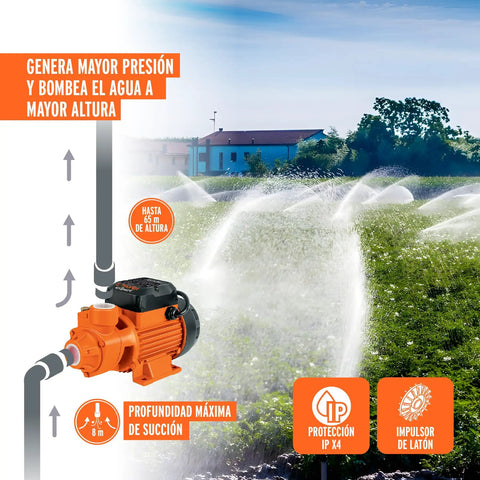 Illustration of Electric Peripheral Water Pump Three Quarter HP For High Lift Moves Water Up To 65 M with irrigation setup.