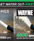 Performance comparison of submersible sump pump water flow rates, emphasizing 4,600 GPH for heavy-duty basement use.