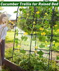Heavy Duty 7.3Ft Cucumber Trellis For Raised Bed Garden Arch With Net Rustproof Steel Plant Support in use