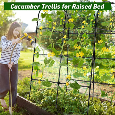 Heavy Duty 7.3Ft Cucumber Trellis For Raised Bed Garden Arch With Net Rustproof Steel Plant Support in use