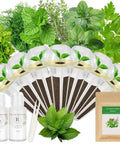 Indoor Hydroponics Herb Seed Pod Kit With Basil Parsley Thyme Mint Cilantro Dill Oregano Includes 7 Seed Pods Growth Sponges Domes Baskets Labels And Seeds For A Ready To Grow Fresh Kitchen Garden