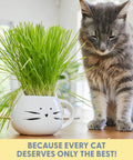 Organic Cat Grass Kit for Indoor Cats with Seed Mix Soil and White Planter Hairball Control and Digestion Support