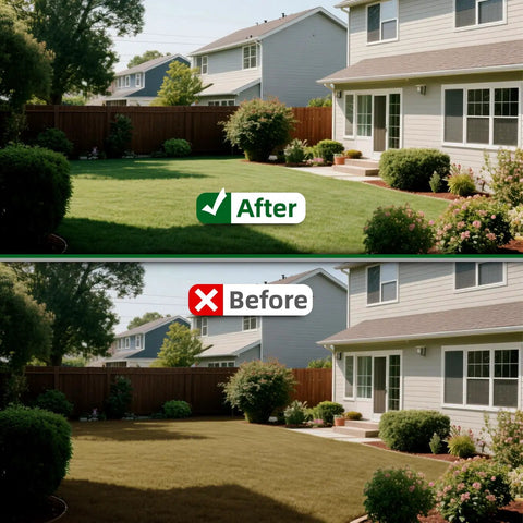 Lawn before and after using Lawn Aerator For Clay Soil With Kick To Unclog Easy Clear Design And Bolt On Base That Never Breaks