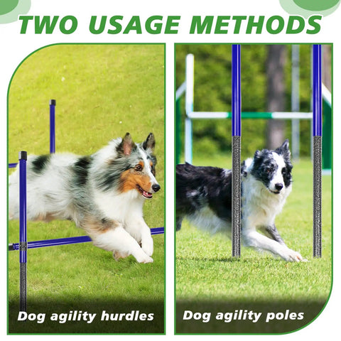 Two dogs on a Heavy Duty Metal Dog Agility Course Set For Backyard Training With Adjustable Height Jumps And Hurdles.