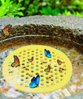 Four Pack Floating Bee Watering Station 7.87 Inch Island Float Tray for Pollinators with bees and butterflies on foam.