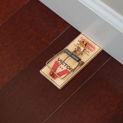 Top Tier Reusable Wooden Snap Mouse Traps 12 Pack Heavy Duty Rodent Control For Indoor Spaces That Catches Mice Quick And Saves Your Pad From Nightly Rats With Absolutely Zero Drama on dark wooden floor.
