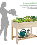 Raised Garden Bed With Legs And Storage Shelf For Backyard Patio Or Balcony Wooden Elevated Planter Box 34 By 18 By 30 Inches Solid Fir Wood Easy Assembly Low Fuss Setup Sturdy And Ready To Grow, shown with watering tools and plants.
