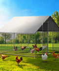 Walk In Chicken Coop With Run And Galvanized Enclosure, Waterproof UV Cover, and Secure Lock, set up in a backyard.