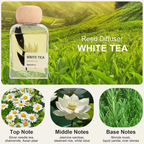 White Tea Reed Diffuser Set Inspired by Westin Hotel Scent for a 5 Star Home and Office Vibe with fragrance notes and green fields