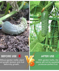 Comparison of cucumbers before and after using 2 Pack Outdoor Plant Trellis Set For Climbing Vegetables And Vines