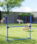 4 Piece Dog Agility Jump Set With Adjustable Heights on grass, featuring durable PVC poles and non-slip feet for backyard training.