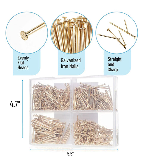 Gold Finish Nail Kit With 600 Nails In Four Sizes For Picture Hanging And Woodworking storage box with nails visible