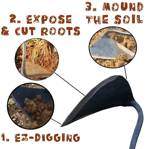 Forged Garden Hand Plow Hoe Weeder Sickle With Wooden Handle Korean Daejanggan Style Ho Mi demonstrating digging roots