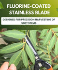 Close-up of Top Notch Pro Grade Japanese Harvesting Shears with straight 58mm blade cutting soft green stems.