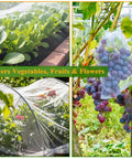Mosquito Netting 10x39 Feet 1Mm Mesh Garden Pest Barrier For Plants Fruit Trees And Vegetables Breathable 40D Polyester Netting