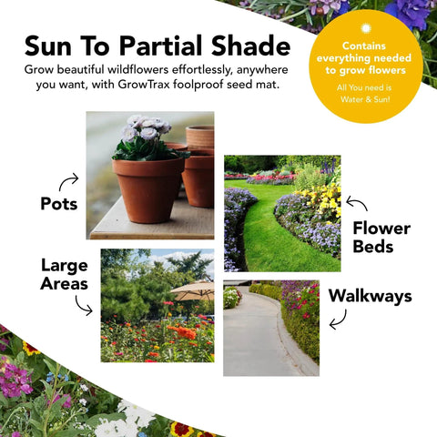 Easy Grow Wildflower Seed Mat Delivers 40 Sq Ft Of Annual And Perennial Mix On Eco Friendly Bio Fabric For Spring Planting in pots, beds, and walkways