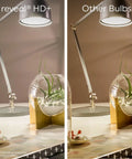 Comparison of lighting from reveal HD+ bulb versus other bulbs, highlighting color clarity on a desk with a lamp and plant.