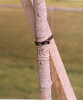 Locking Tree and Plant Ties 1 Inch Wide 100 Feet Long Black Plastic Ties for Gardening in use on wooden stake outdoors.