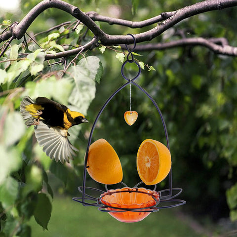 Orange Oriole Bird Feeder With Easy Clean Detachable Bowl, Durable Eco Friendly Plastic And Powder Coated Metal, hanging from tree