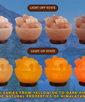 Himalayan Salt Lamp Bowl With Crystal Chunks, Dimmer Cord, And Classic Wood Base, in light off and on states, handcrafted.